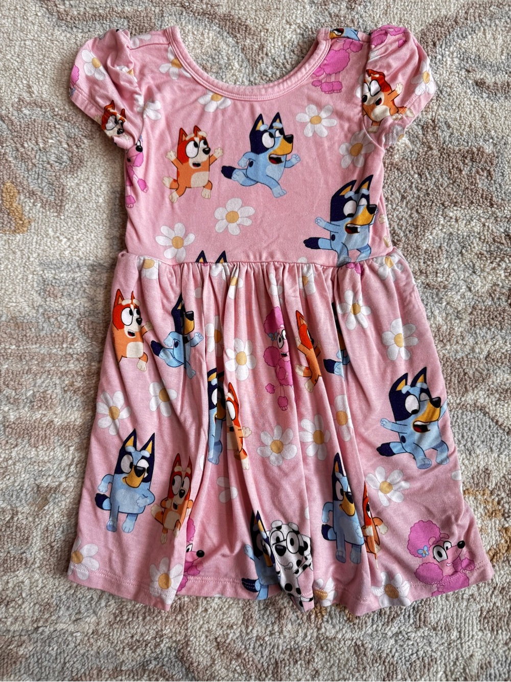 Bluey little sleepies Garden Games Skater Dress 2t pink
